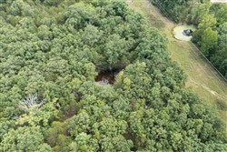 property photo for Wild Wood Tract 27, 10.48 acres for sale in Taney County, Missouri