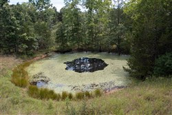 property photo for Wild Wood Tract 27, 10.48 acres for sale in Taney County, Missouri