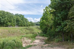 property photo for Wild Wood Tract 27, 10.48 acres for sale in Taney County, Missouri
