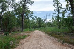 Wild Wood Tract 28