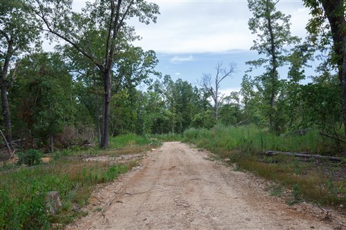 Wild Wood Tract 28