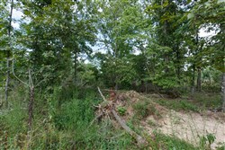 Wild Wood Tract 28