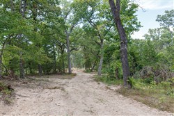 Wild Wood Tract 28