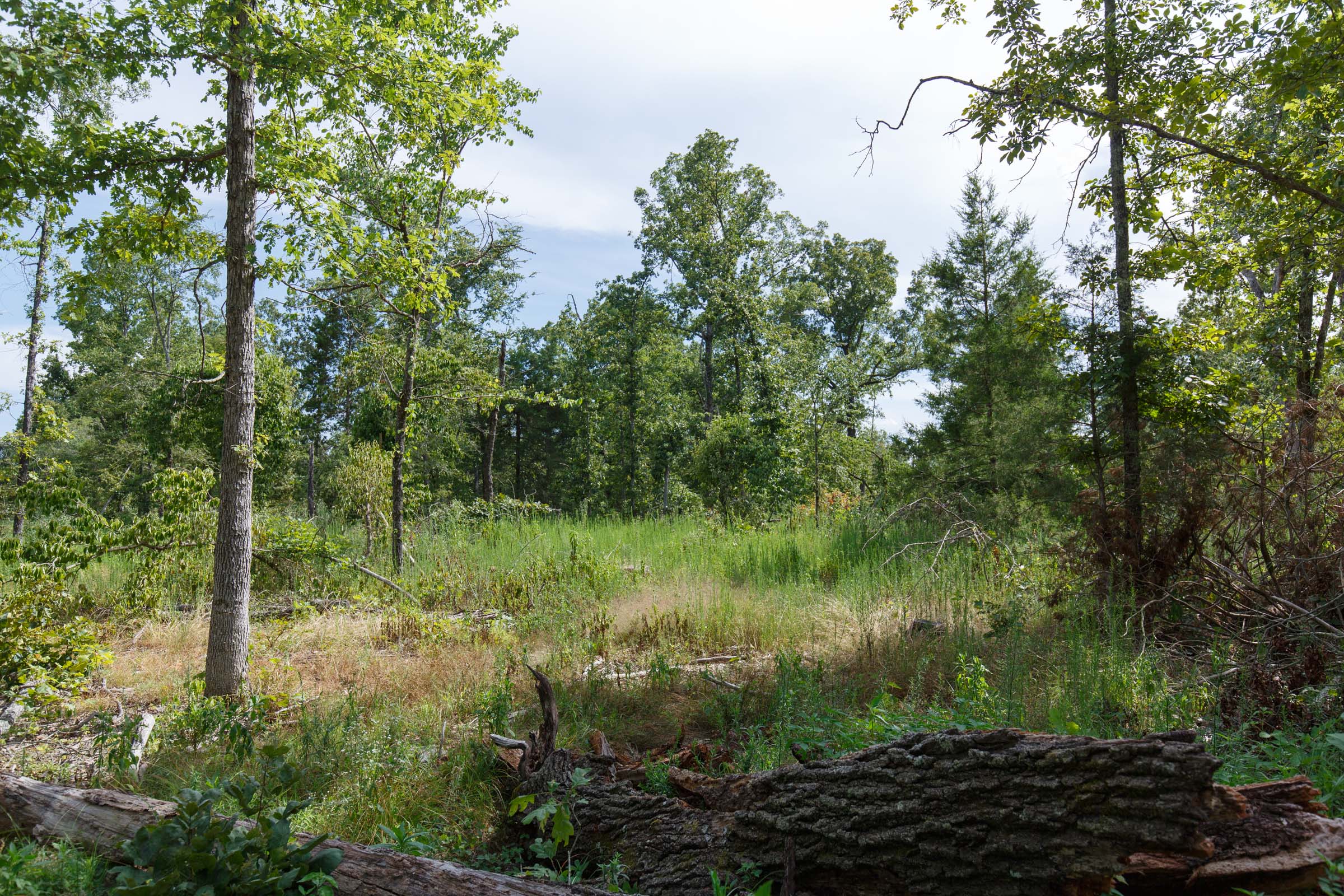 Tract 29 at Wild Wood in Taney County, Missouri