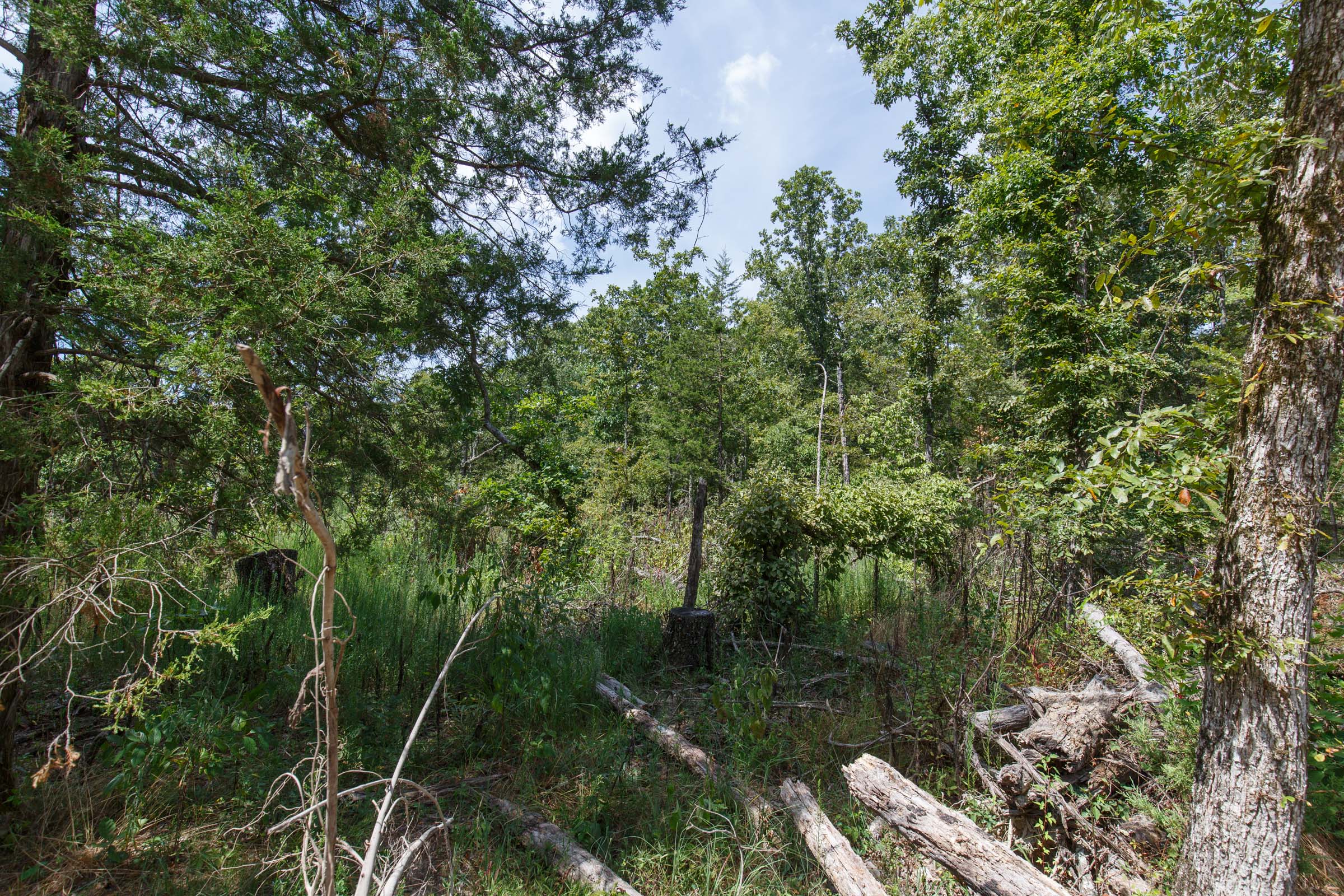 Tract 3 at Wild Wood in Taney County, Missouri
