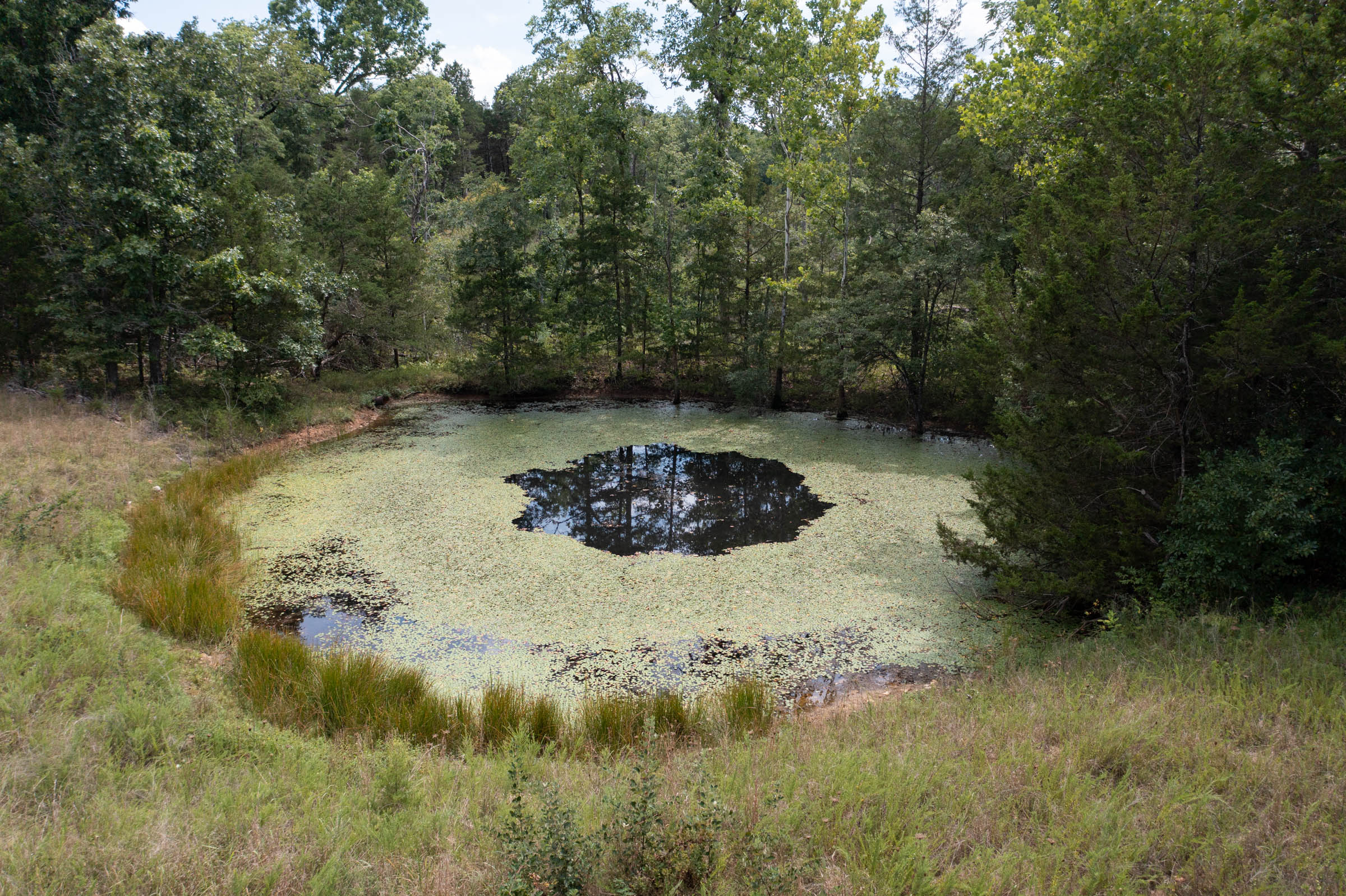 Tract 31 at Wild Wood in Taney County, Missouri