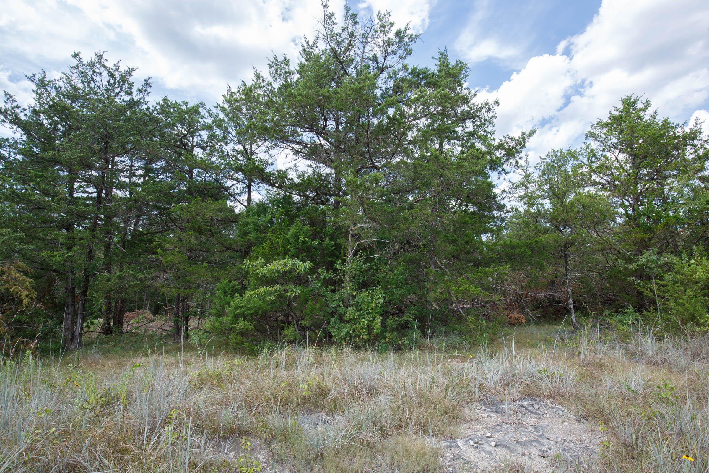 Tract 32 at Wild Wood in Taney County, Missouri