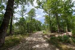 Wild Wood Tract 5