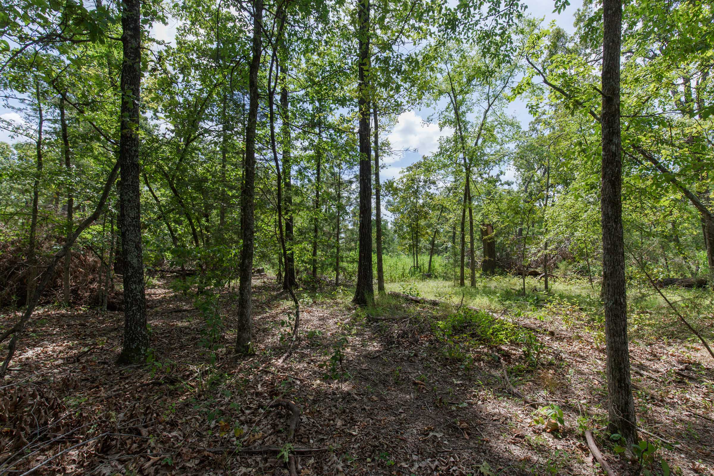 Tract 6 at Wild Wood in Taney County, Missouri