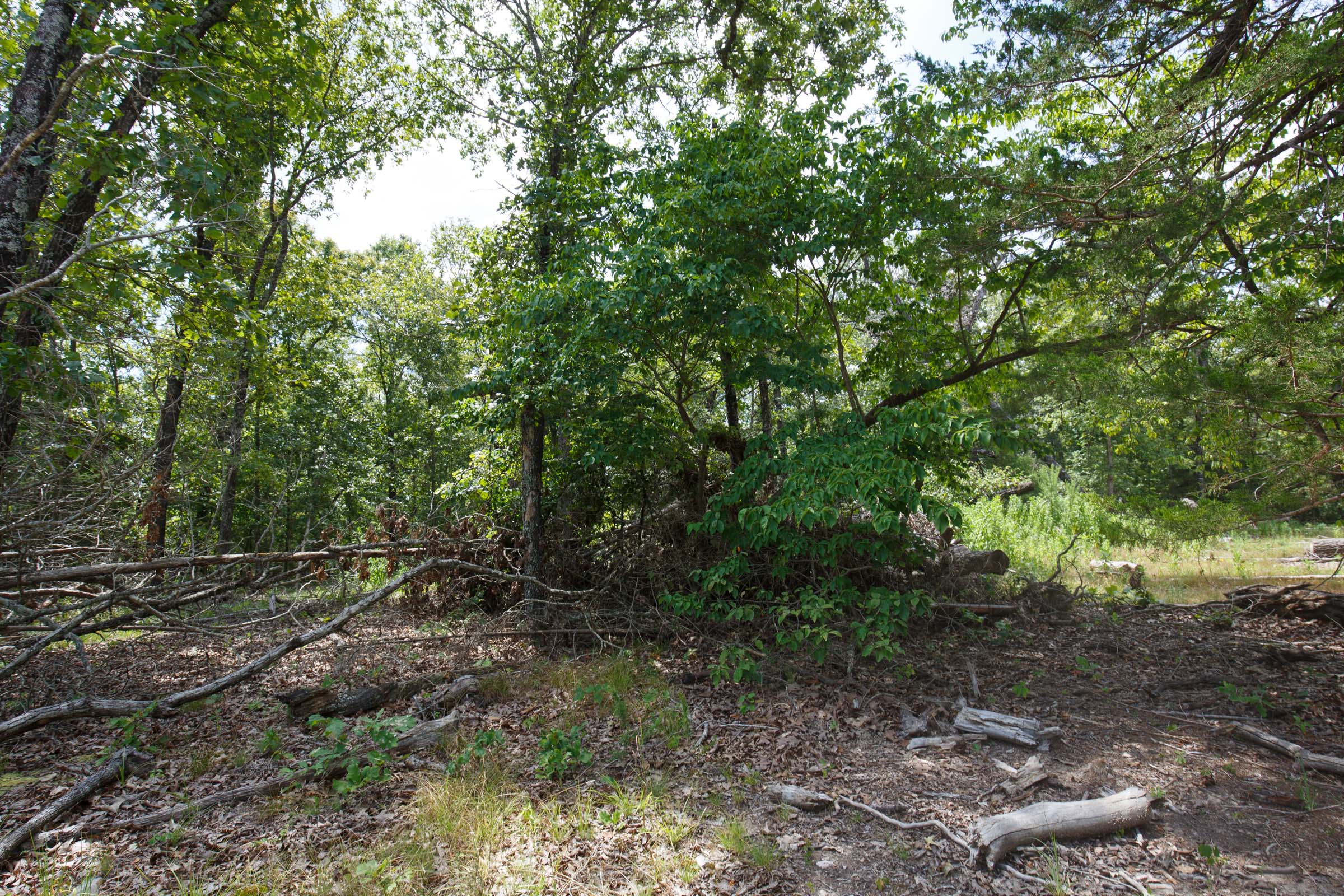 Tract 8 at Wild Wood in Taney County, Missouri