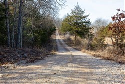 Forest Hill Tract 13