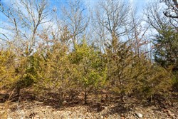 Forest Hill Tract 13