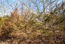 Forest Hill Tract 13