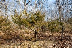 Forest Hill Tract 13