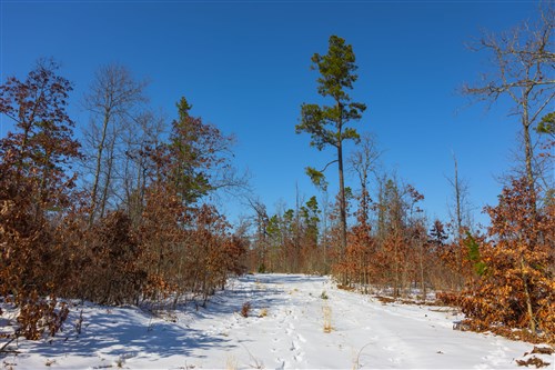 Sleepy Hollow Phase I Tract 1