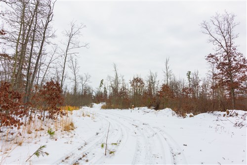 Sleepy Hollow Phase I Tract 10