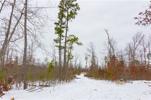 Sleepy Hollow Phase I Tract 11
