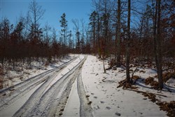 property photo for Sleepy Hollow Phase I Tract 12, 3.58 acres for sale in Texas County, Missouri