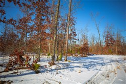 property photo for Sleepy Hollow Phase I Tract 12, 3.58 acres for sale in Texas County, Missouri