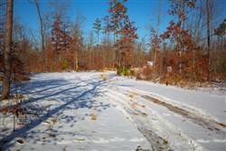property photo for Sleepy Hollow Phase I Tract 12, 3.58 acres for sale in Texas County, Missouri