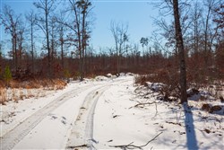 Sleepy Hollow Phase I Tract 13