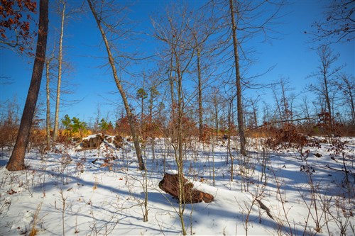 Sleepy Hollow Phase I Tract 13