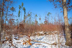 Sleepy Hollow Phase I Tract 13