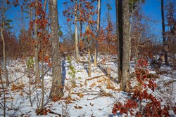 Sleepy Hollow Phase I Tract 13