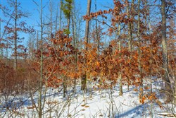 Sleepy Hollow Phase I Tract 14