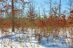 Sleepy Hollow Phase I Tract 14