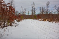 Sleepy Hollow Phase I Tract 15