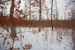 Sleepy Hollow Phase I Tract 15