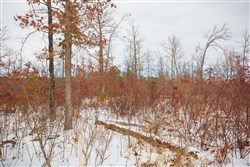 Sleepy Hollow Phase I Tract 15