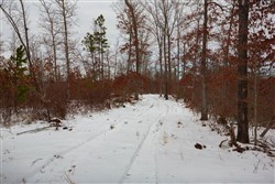 Sleepy Hollow Phase I Tract 16