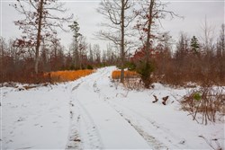 Sleepy Hollow Phase I Tract 16