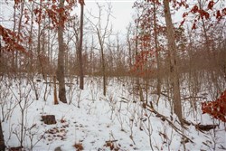 Sleepy Hollow Phase I Tract 16