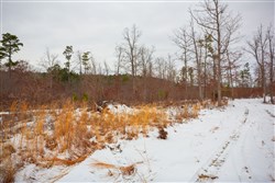 Sleepy Hollow Phase I Tract 16