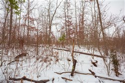 Sleepy Hollow Phase I Tract 16