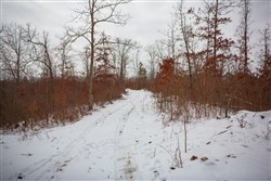 Sleepy Hollow Phase I Tract 17