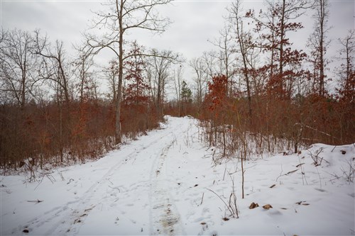 Sleepy Hollow Phase I Tract 17