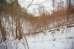Sleepy Hollow Phase I Tract 17