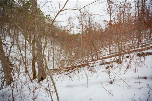 Sleepy Hollow Phase I Tract 17