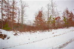 Sleepy Hollow Phase I Tract 17