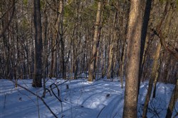 Sleepy Hollow Phase I Tract 18