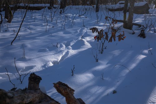 Sleepy Hollow Phase I Tract 18