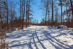 property photo for Sleepy Hollow Phase I Tract 19, 10.89 acres for sale in Texas County, Missouri