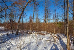 property photo for Sleepy Hollow Phase I Tract 19, 10.89 acres for sale in Texas County, Missouri