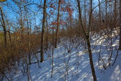 property photo for Sleepy Hollow Phase I Tract 19, 10.89 acres for sale in Texas County, Missouri