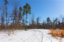 Sleepy Hollow Phase I Tract 2