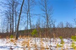 Sleepy Hollow Phase I Tract 2